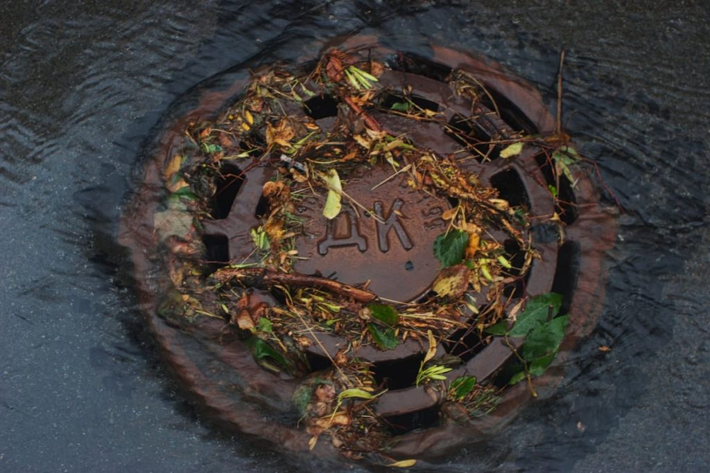 Street drain blocked with leaves and standing water