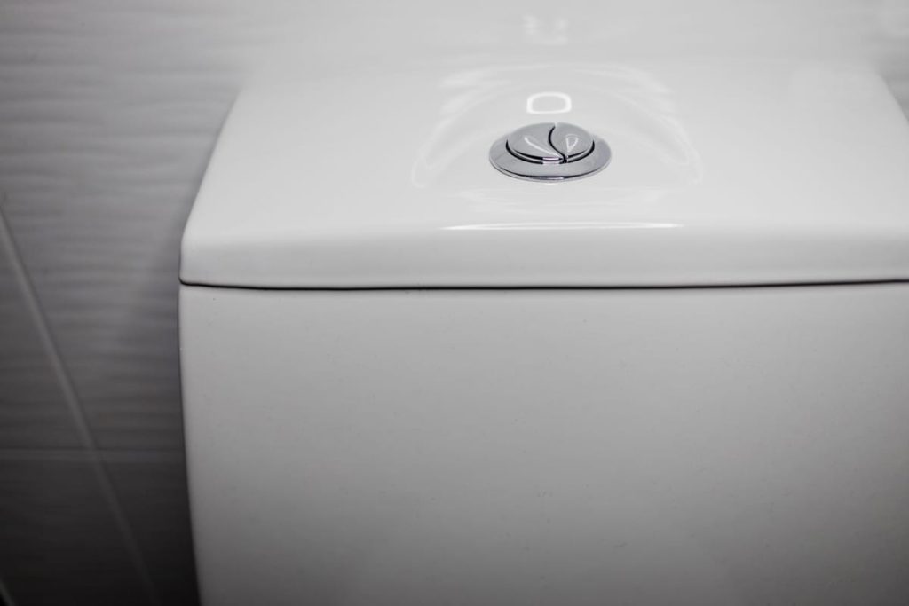 Dual flush button on a toilet tank