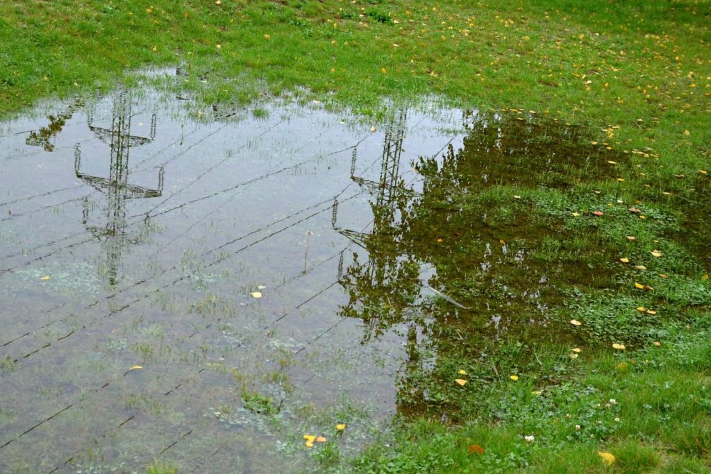 Standing water in a yard