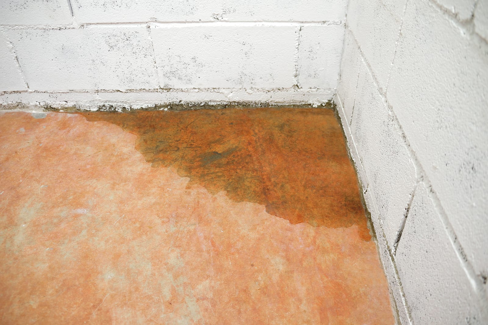 Water seeping across a concrete slab floor